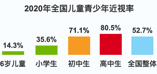 视力筛查系统